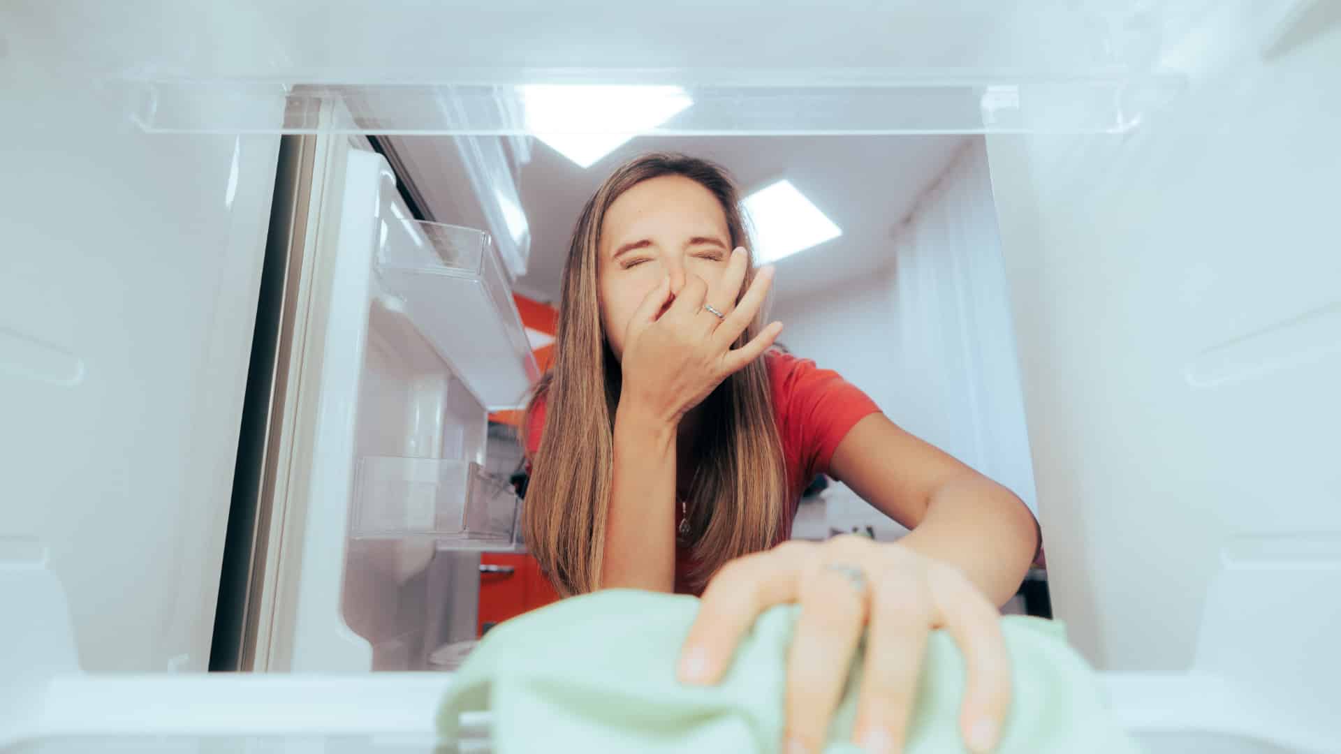 Featured image for “How to Clean a Smelly Refrigerator Quickly”